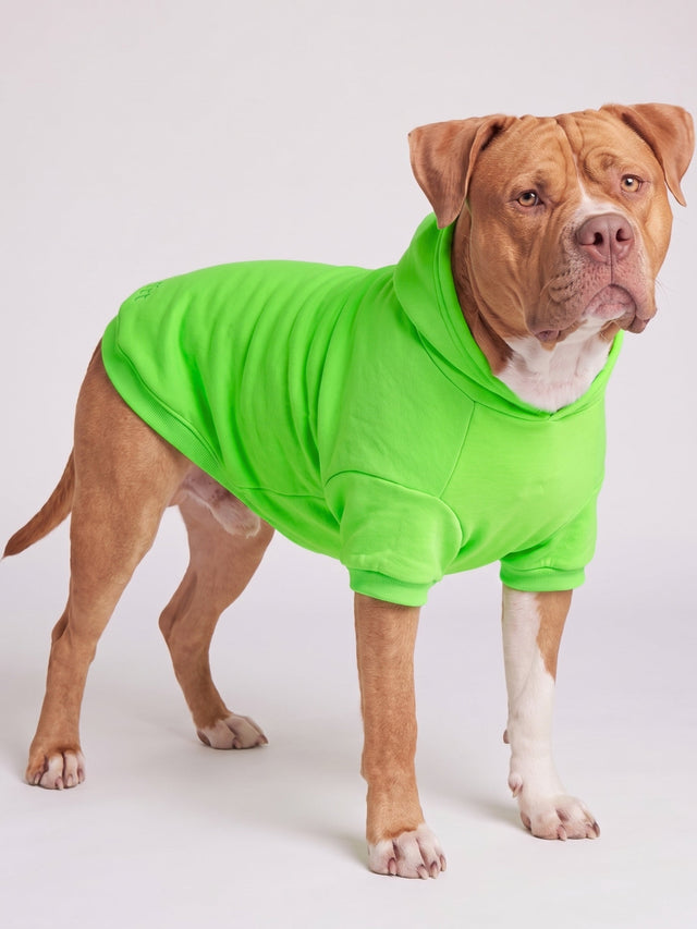 Sweat à capuche pour animal — Neon Minimalist