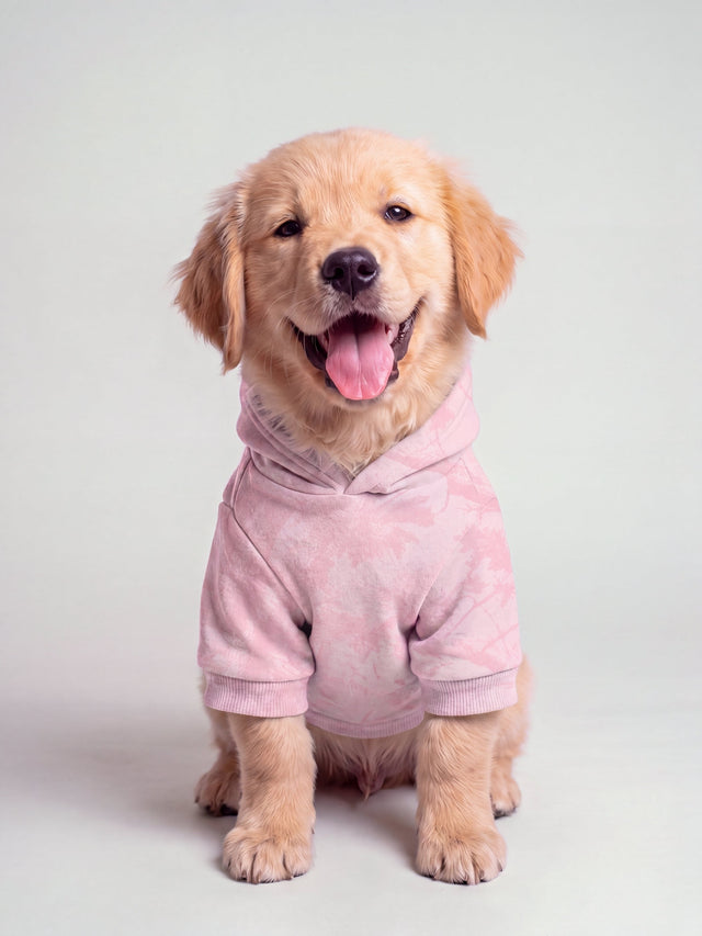 Sweat à capuche pour animal — Camo