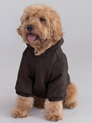 Sweat à capuche pour animal — Tranquil