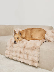 Couchage pour animal — Dream Cloud