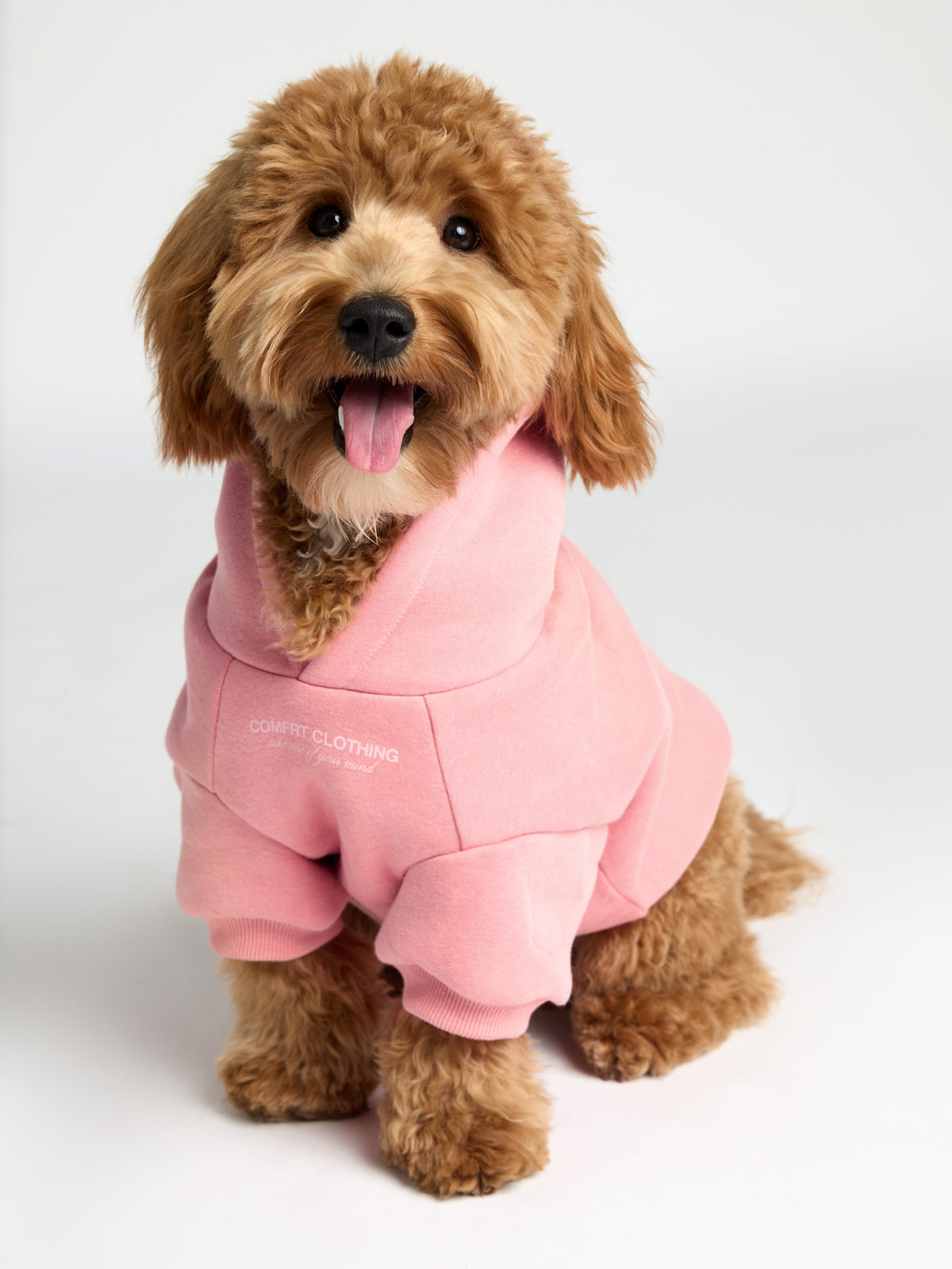 Sweat à capuche pour animal — You Matter — Comfrt