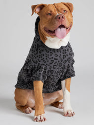 Sweat à capuche pour animal — Minimalist