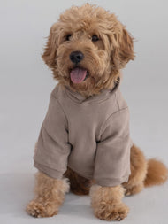 Sweat à capuche pour animal — Tranquil