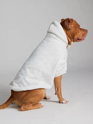 Sweat à capuche pour animal — Minimalist