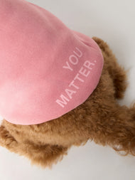 Sweat à capuche pour animal — You Matter