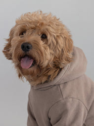 Sweat à capuche pour animal — Tranquil