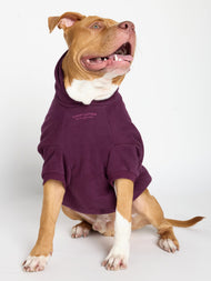 Sweat à capuche pour animal — You Matter