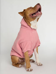 Sweat à capuche pour animal — You Matter