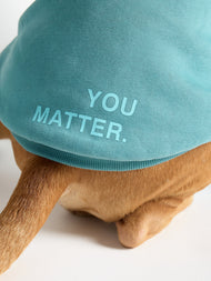 Sweat à capuche pour animal — You Matter