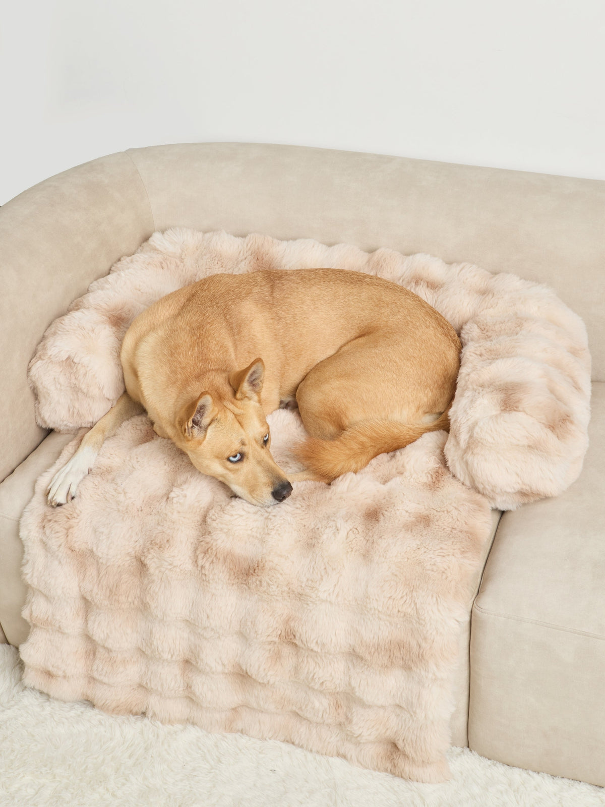Couchage pour animal — Dream Cloud — Comfrt
