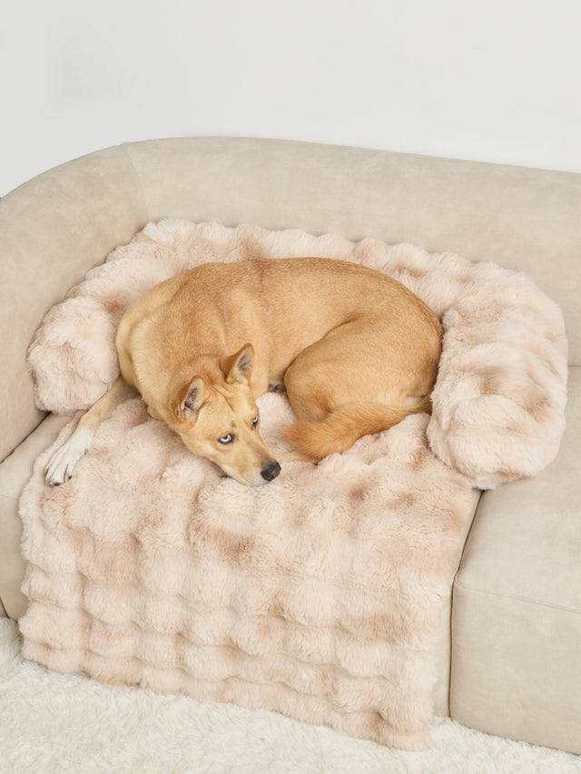 Couchage pour animal — Dream Cloud