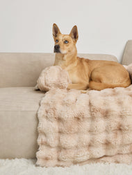 Couchage pour animal — Dream Cloud
