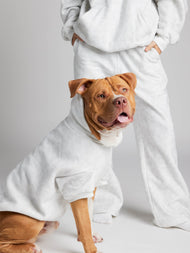Sweat à capuche pour animal — Minimalist