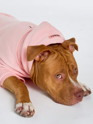 Sweat à capuche pour animal — Pastel