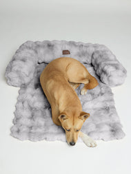 Couchage pour animal — Dream Cloud