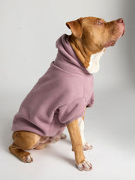 Sweat à capuche pour animal — You Matter