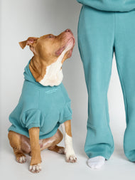 Sweat à capuche pour animal — You Matter