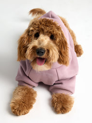 Sweat à capuche pour animal — You Matter