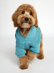 Sweat à capuche pour animal — You Matter