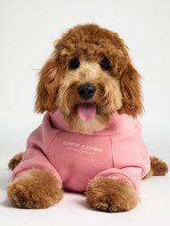 Sweat à capuche pour animal — You Matter