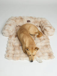 Couchage pour animal — Dream Cloud