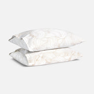 Taies d’oreiller — Classic Percale - Dernière série