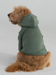 Sweat à capuche pour animal — Standard