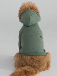 Sweat à capuche pour animal — Standard