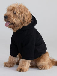 Sweat à capuche pour animal — Tranquil