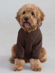 Sweat à capuche pour animal — Standard