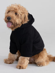 Sweat à capuche pour animal — Tranquil