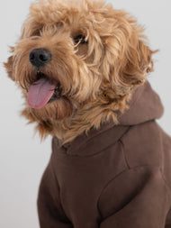 Sweat à capuche pour animal — Standard