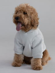 Sweat à capuche pour animal — Standard