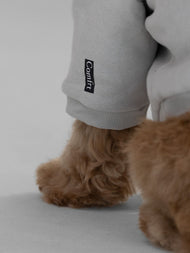 Sweat à capuche pour animal — Standard