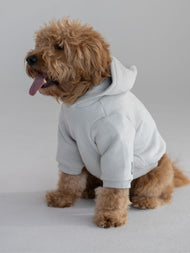 Sweat à capuche pour animal — Standard