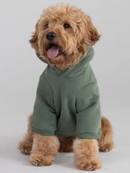 Sweat à capuche pour animal — Standard
