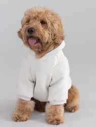 Sweat à capuche pour animal — Tranquil