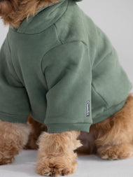 Sweat à capuche pour animal — Standard