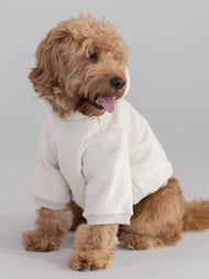 Sweat à capuche pour animal — Tranquil