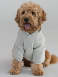 Sweat à capuche pour animal — Tranquil
