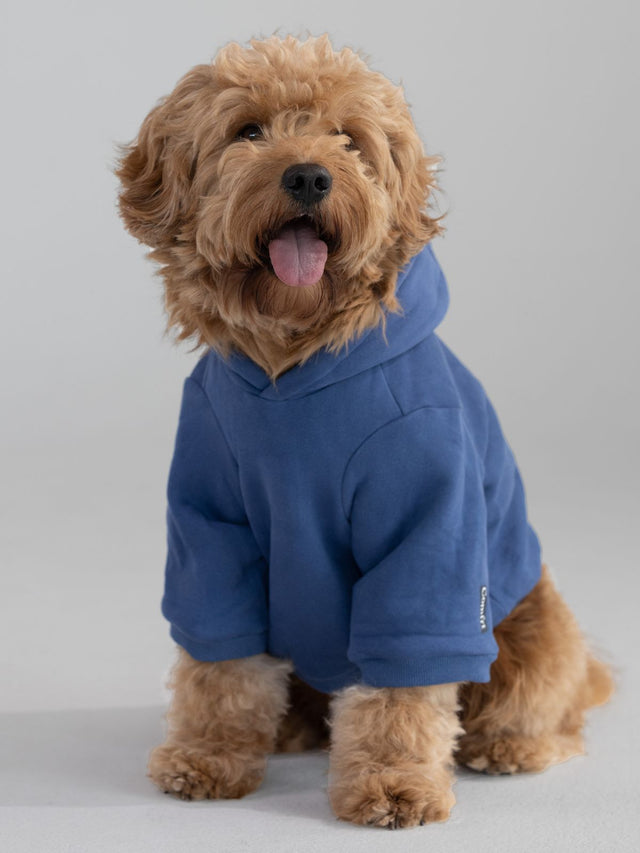 Sweat à capuche pour animal — Standard