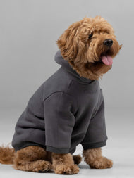 Sweat à capuche pour animal — Signature