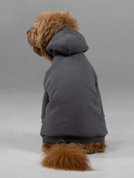 Sweat à capuche pour animal — Signature