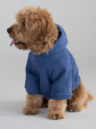 Sweat à capuche pour animal — Standard