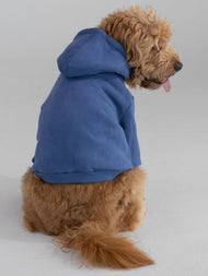Sweat à capuche pour animal — Standard