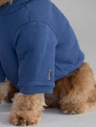 Sweat à capuche pour animal — Standard
