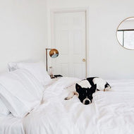 Taies d’oreiller — Rewards Luxe satin