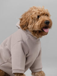 Sweat à capuche pour animal — Signature