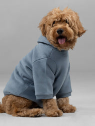 Sweat à capuche pour animal — Signature