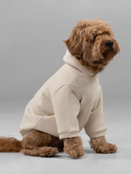 Sweat à capuche pour animal — Signature